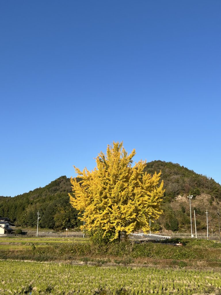 在宅での看取り。