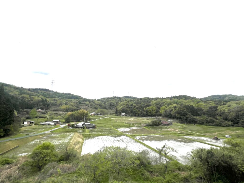 しのぶ先生によく似て