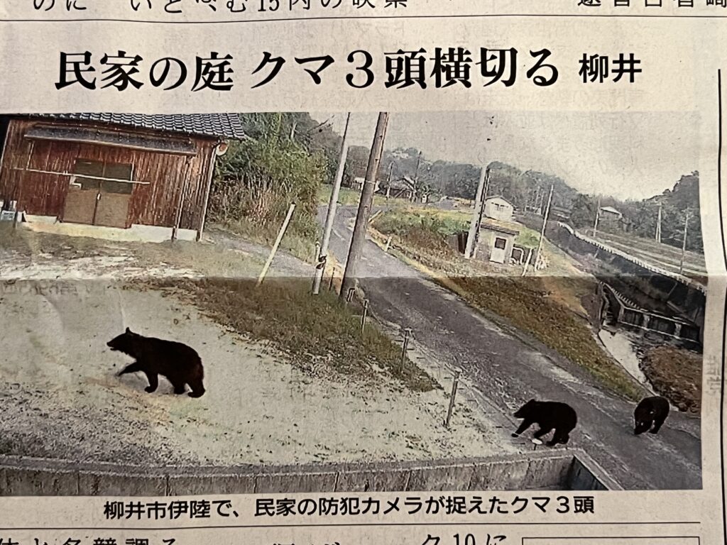 今朝の新聞に