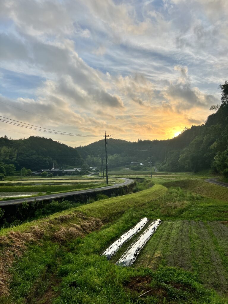 お大事に